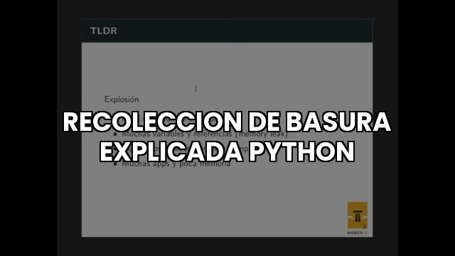 Recoleccion De Basura Explicada Python